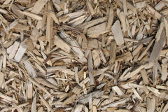 biomass boilers Pendoylan